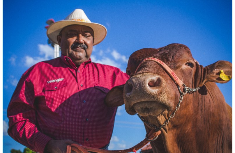Expô 2018 movimenta economia com segmento de animais de raça